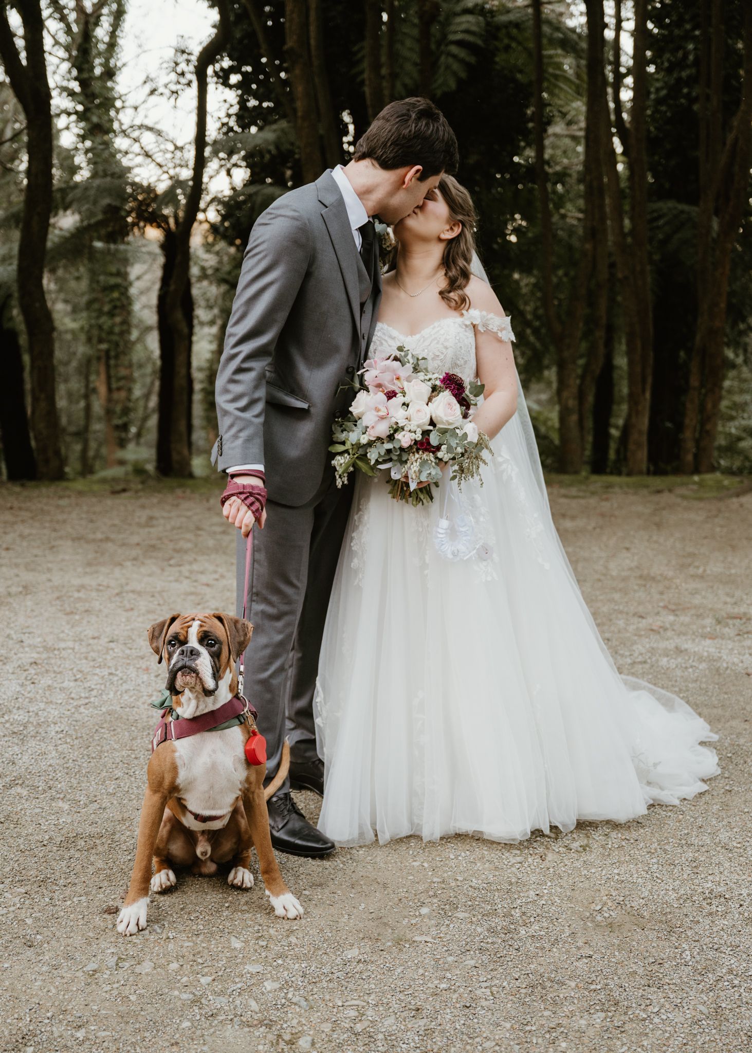 Bride and groom share a kiss while their Boxer dog sits proudly in a red bandana during an outdoor forest wedding.
