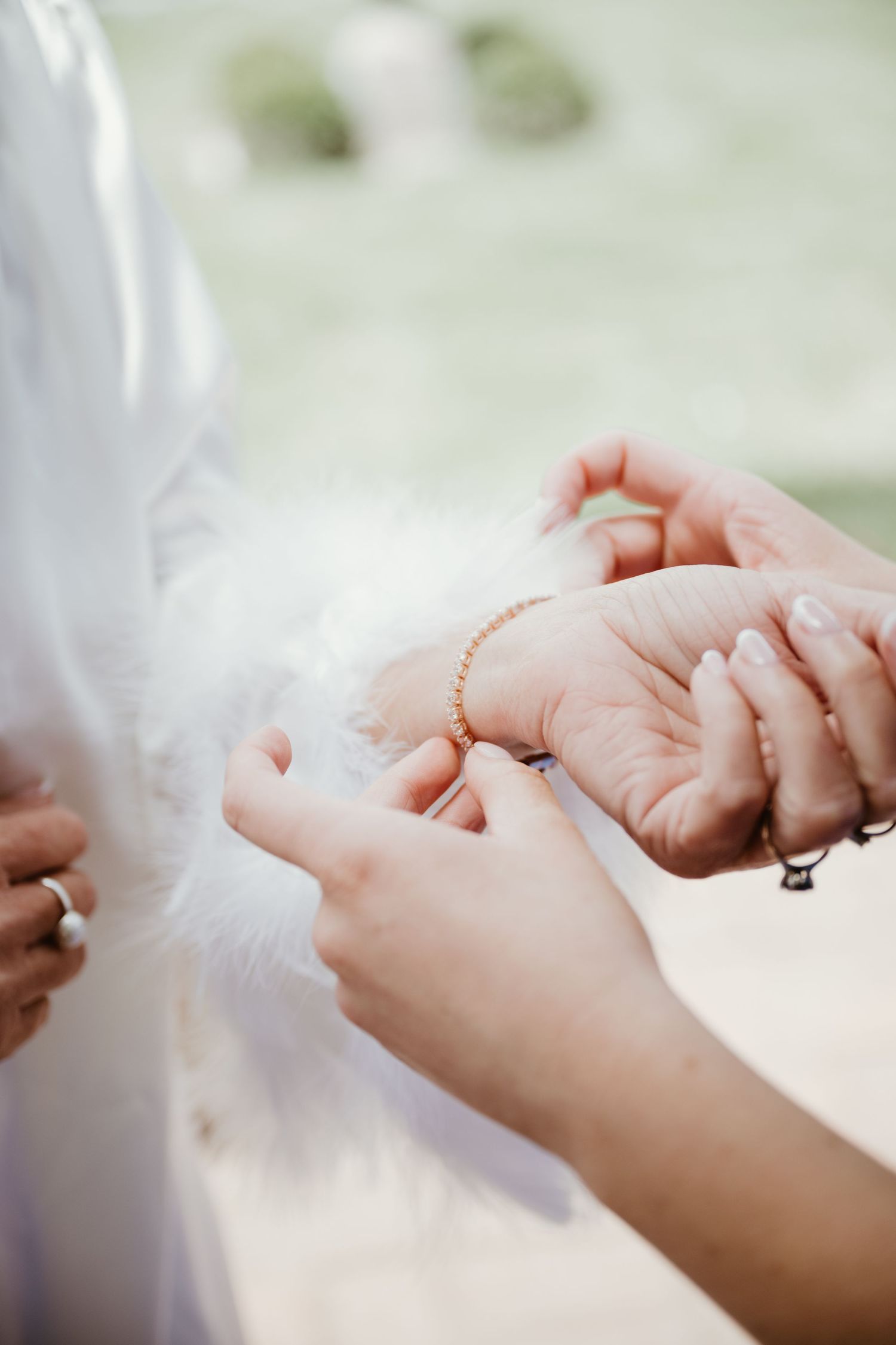 Close-up sequence showing hands gently petting soft white cat fur in multiple frames.