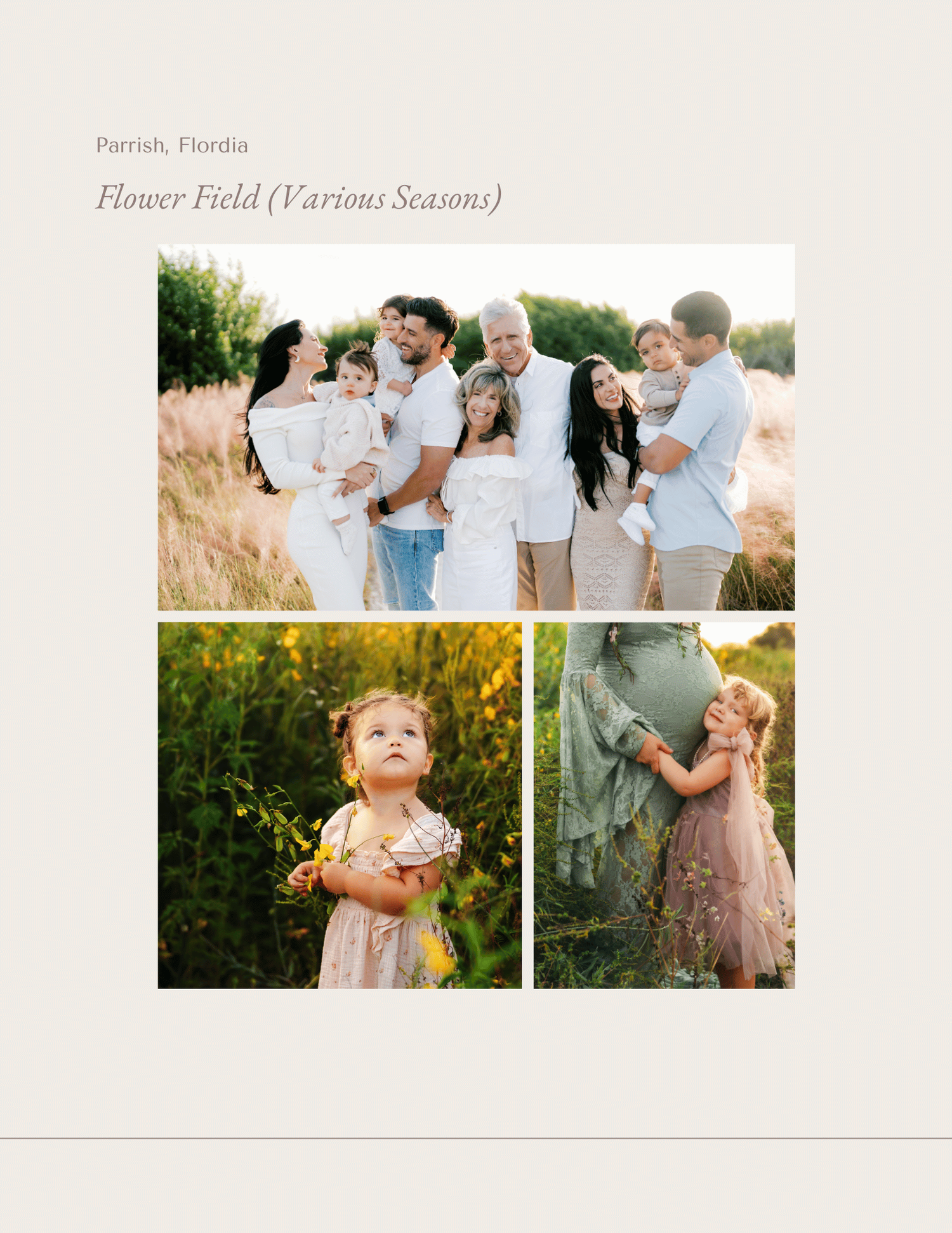 Family portrait in a golden flower field in Parrish, Florida, with parents and children dressed in white during various seasons.