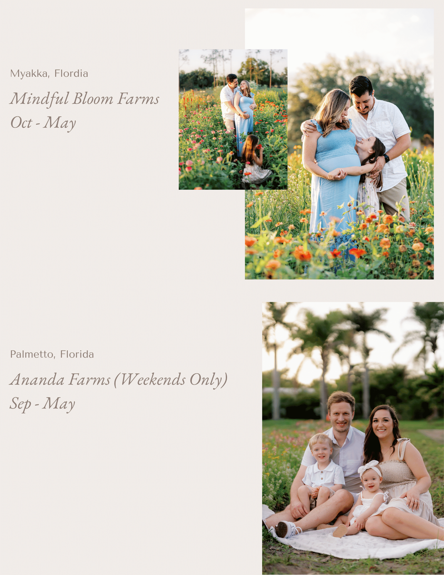 Family and couple posing in vibrant wildflower fields at Florida farms, ideal for seasonal photo sessions Oct-May.