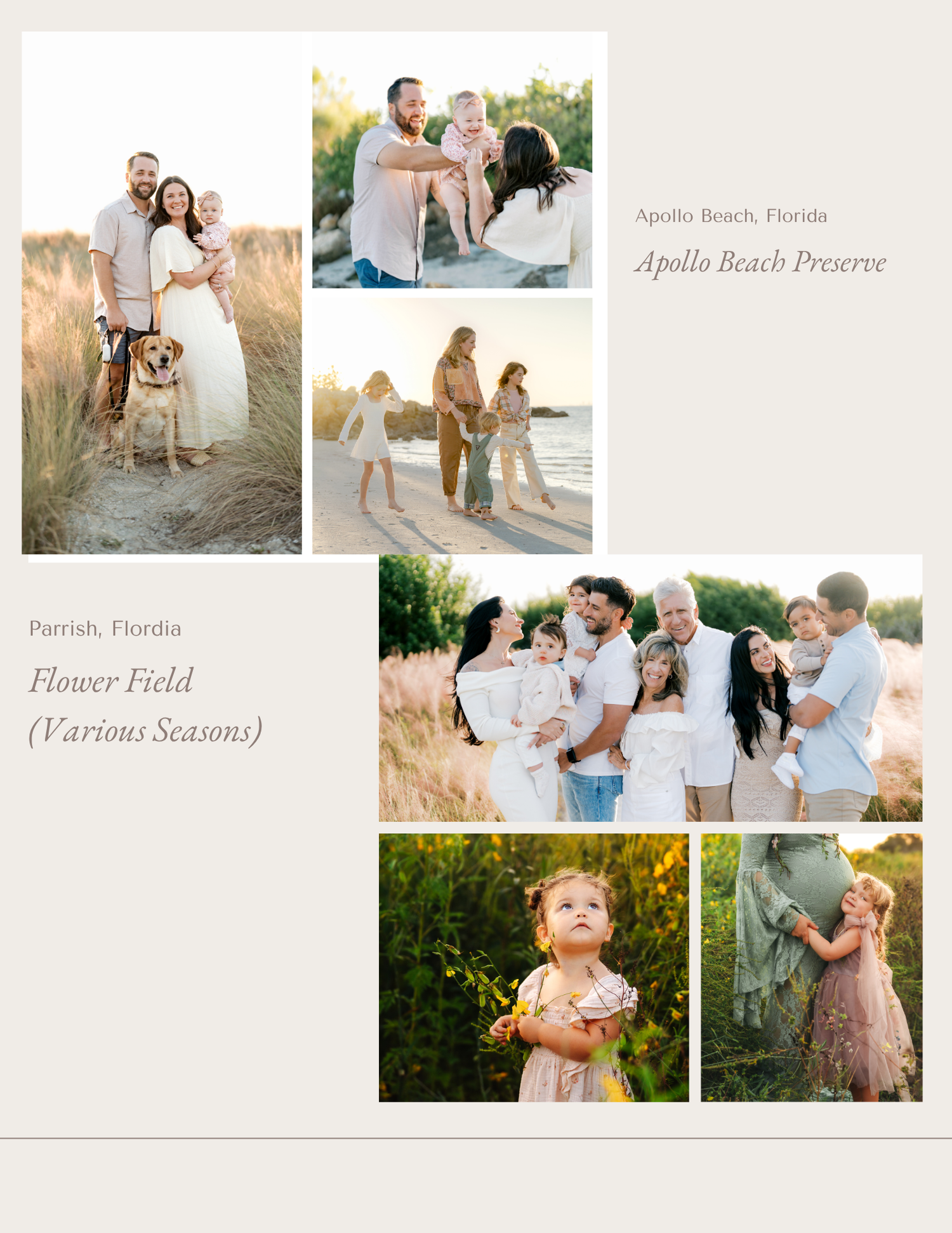 Family portrait collage at Apollo Beach Preserve and Parrish Florida flower field featuring couples, children, and a golden dog.