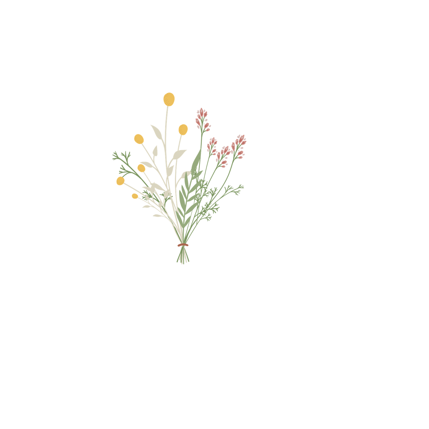Simple wildflower and grass botanical illustration with delicate stems and flowers in muted colors.