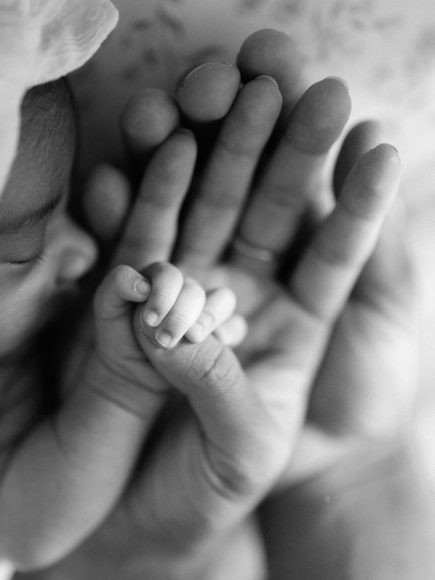 Black and white photo of a newborn baby's tiny hand resting in an adult's open palm.