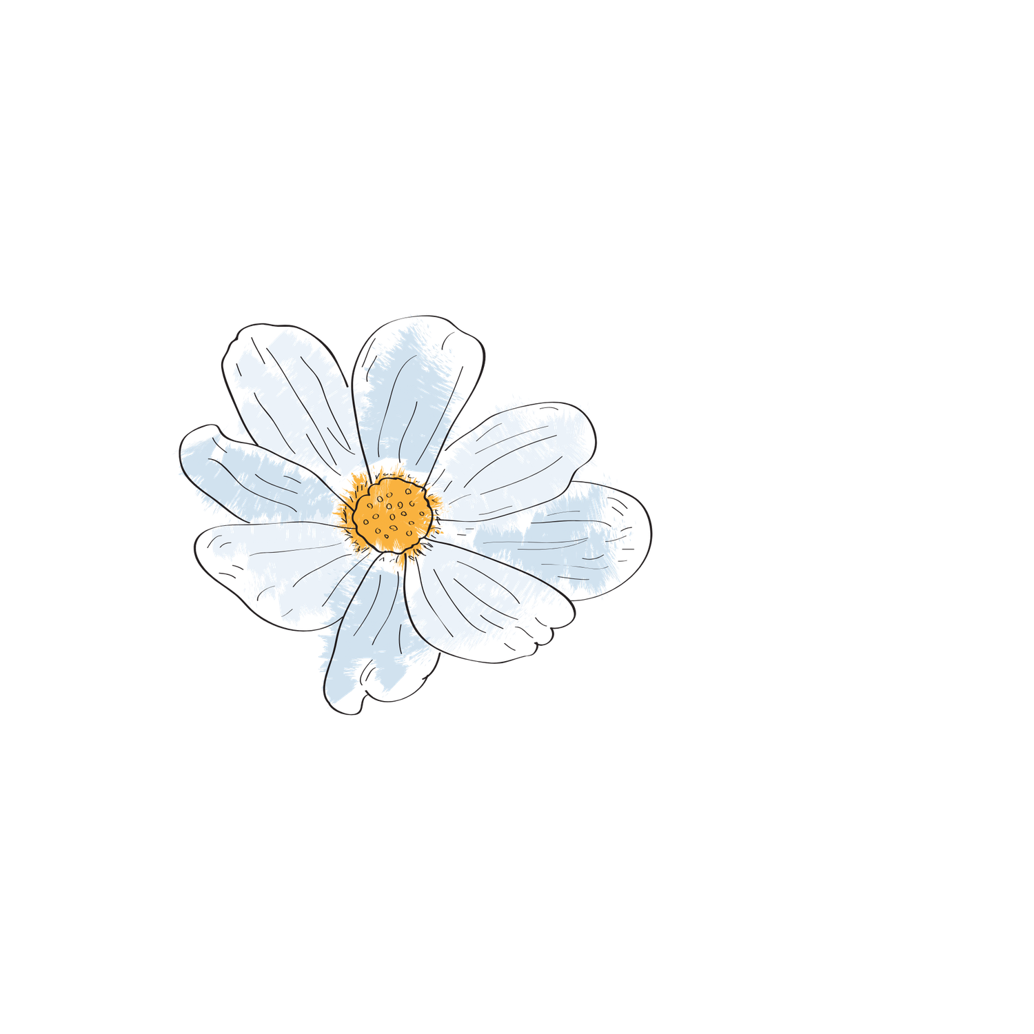 White daisy flowers arranged in a cascading composition with decreasing sizes against a light background.
