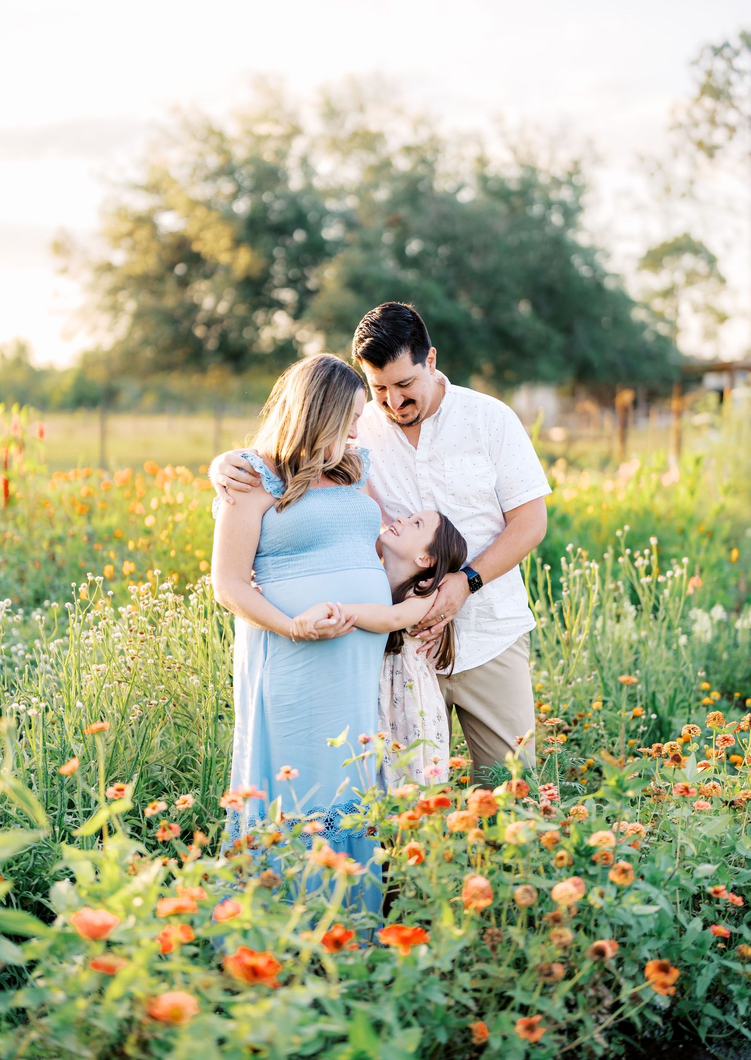 Family maternity photoshoot in vibrant flower field during golden hour.