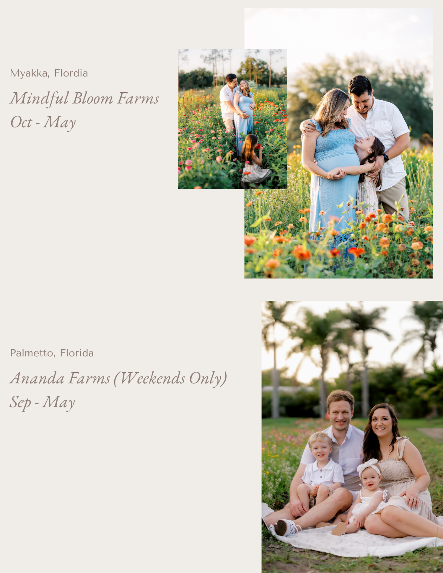 Family and couple photos taken at Mindful Bloom Farms and Ananda Farms in Florida, surrounded by colorful wildflowers.