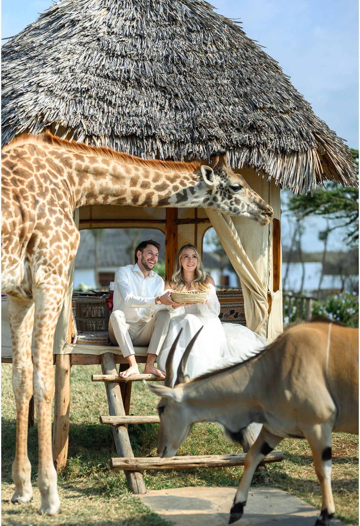 safari wedding photograpy