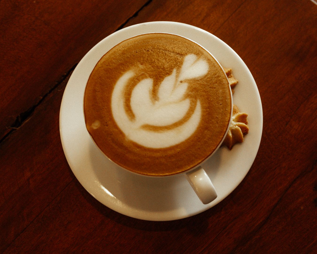 cafe photography connecticut