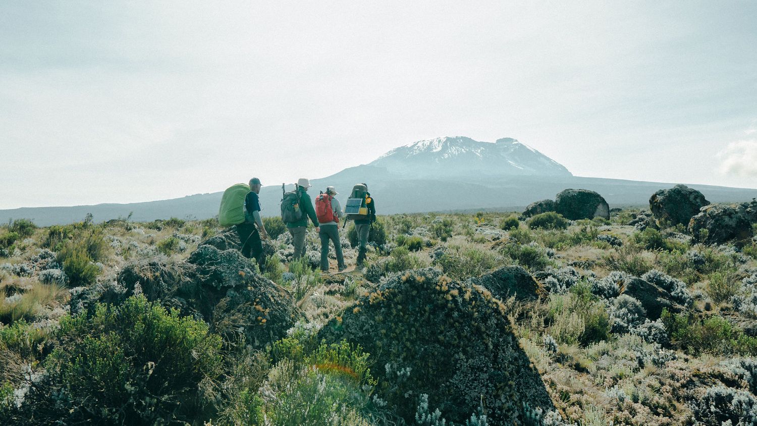 kilimanjaro photographer