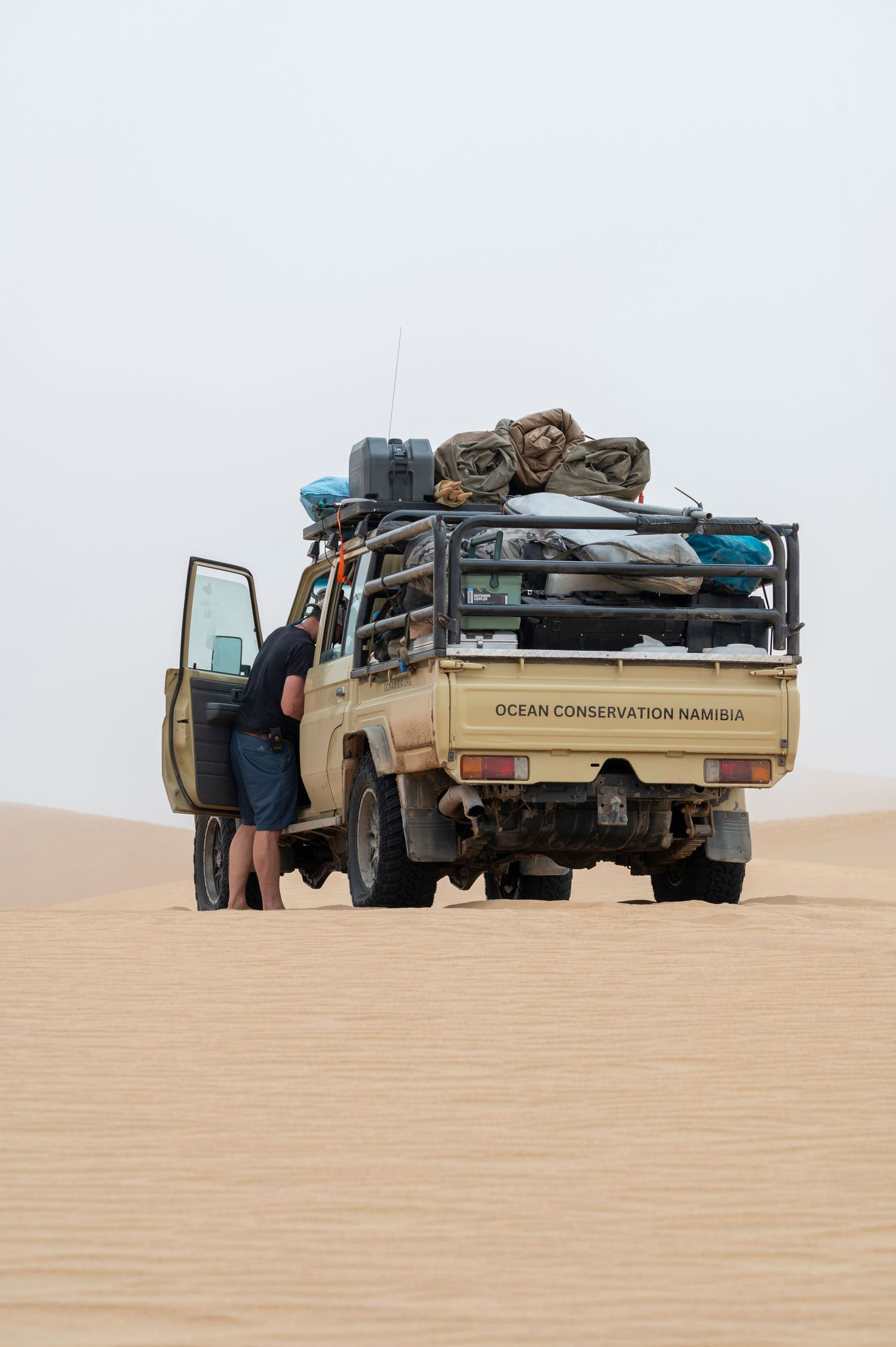 Ocean Conservation Namibia in the field