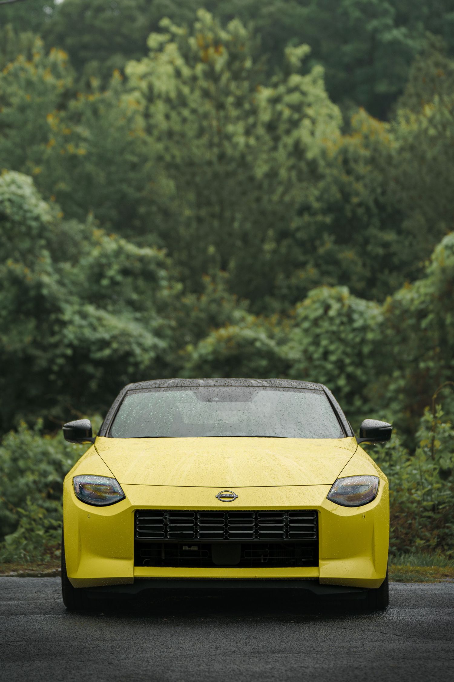 Yellow Chevrolet Corvette C8 front view against green foliage background.