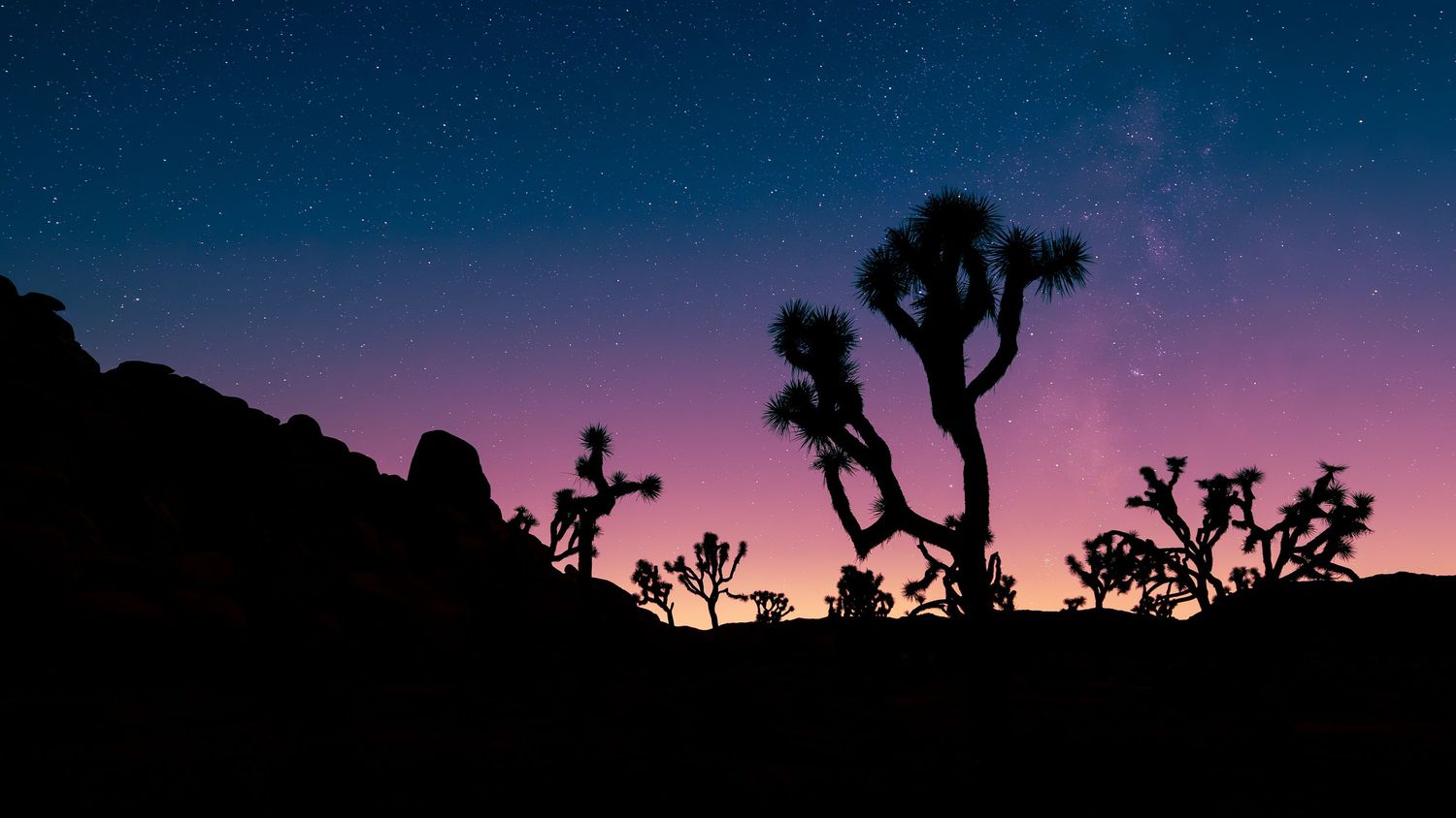 Silhouettes of Joshua trees against a vibrant purple and pink twilight sky with stars.