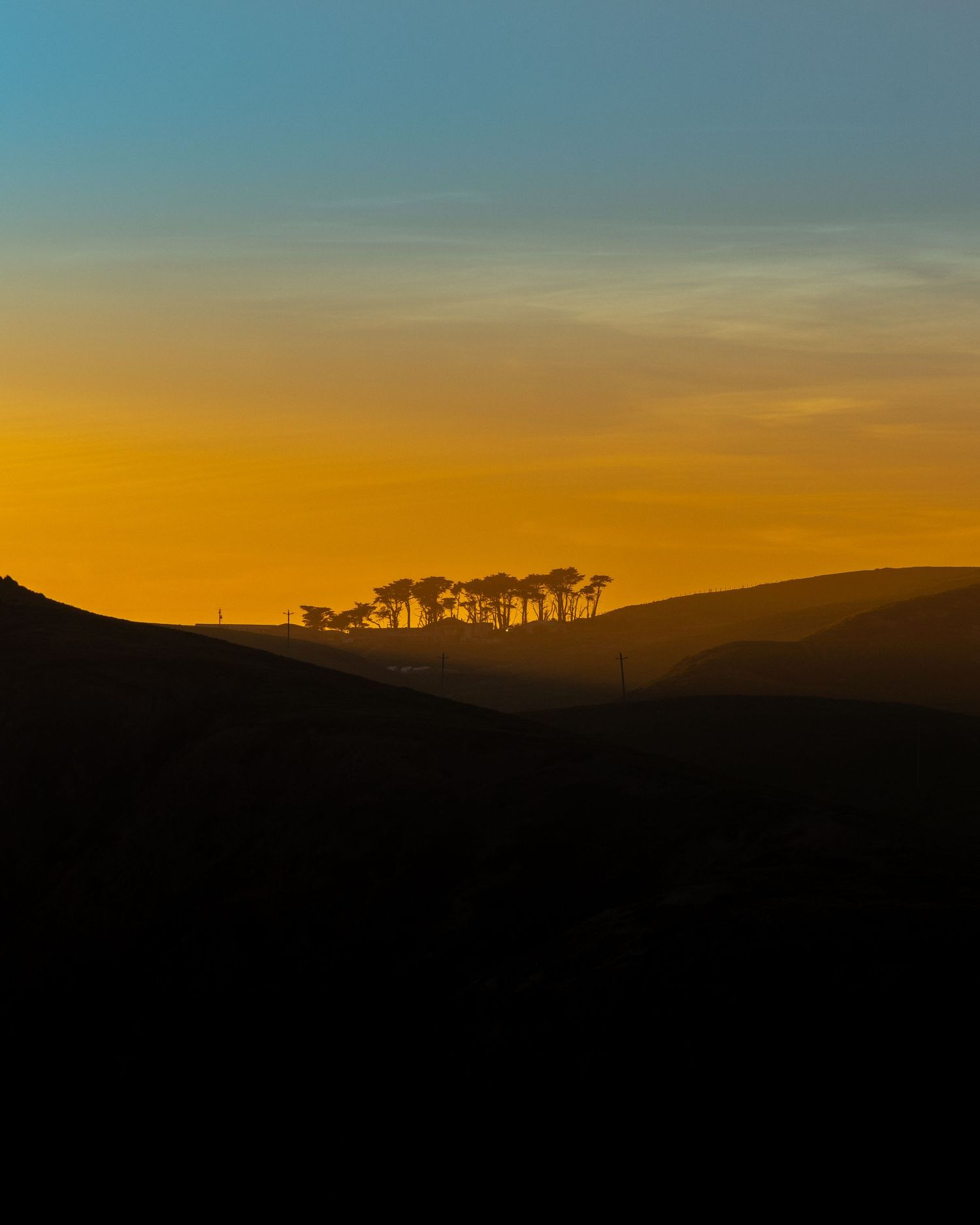 Silhouetted trees on rolling hills against a vibrant golden orange sunset sky.