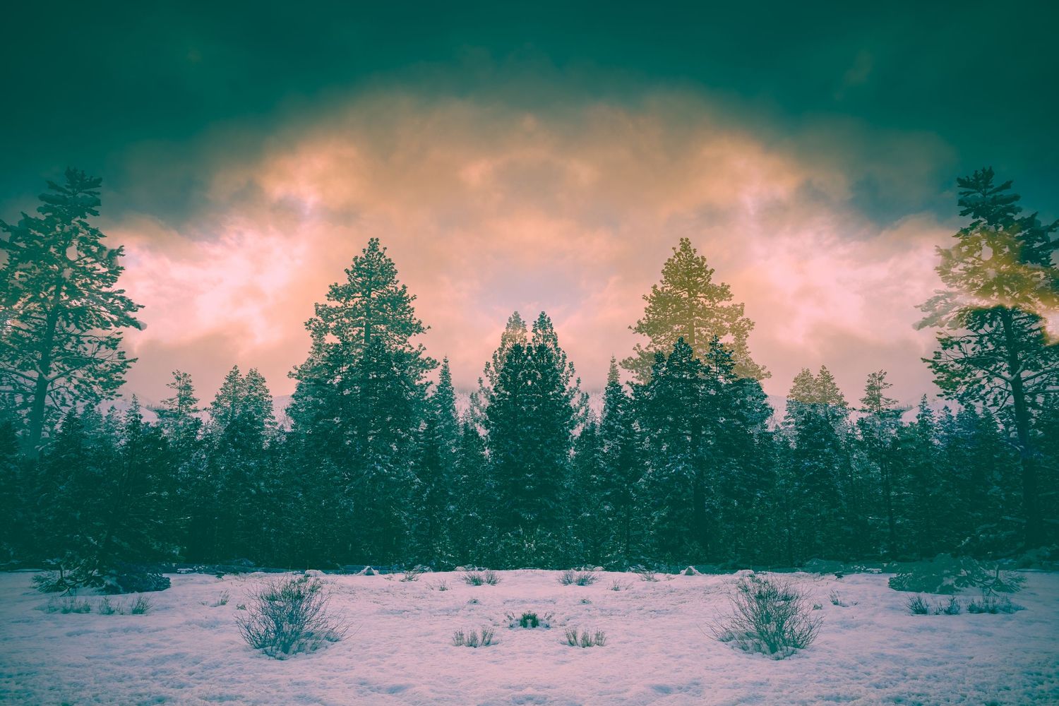 Snow-covered pine forest under a dramatic teal and pink glowing cloudy winter sky.