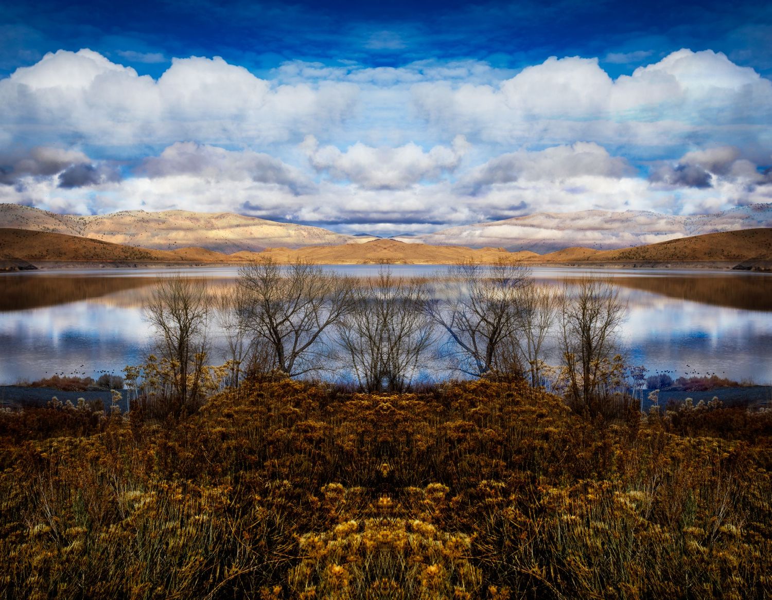 Symmetrical reflection of clouds and bare trees in a calm lake surrounded by golden autumn foliage.