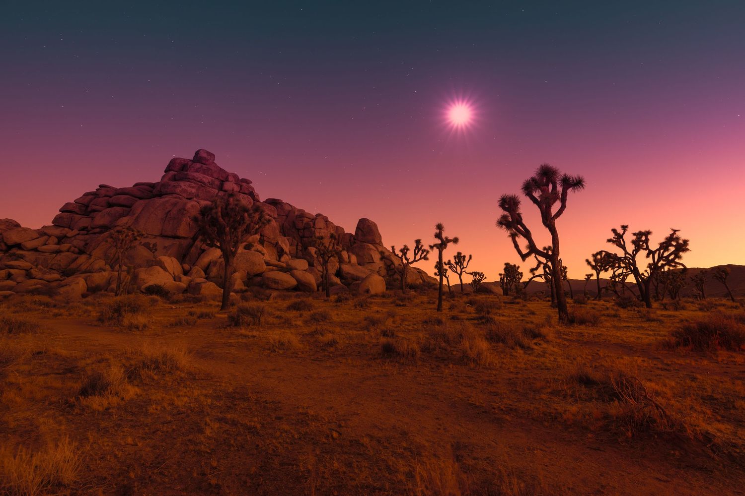 Joshua trees and rock formations bathed in pink moonlight glow across a red desert landscape at dusk.