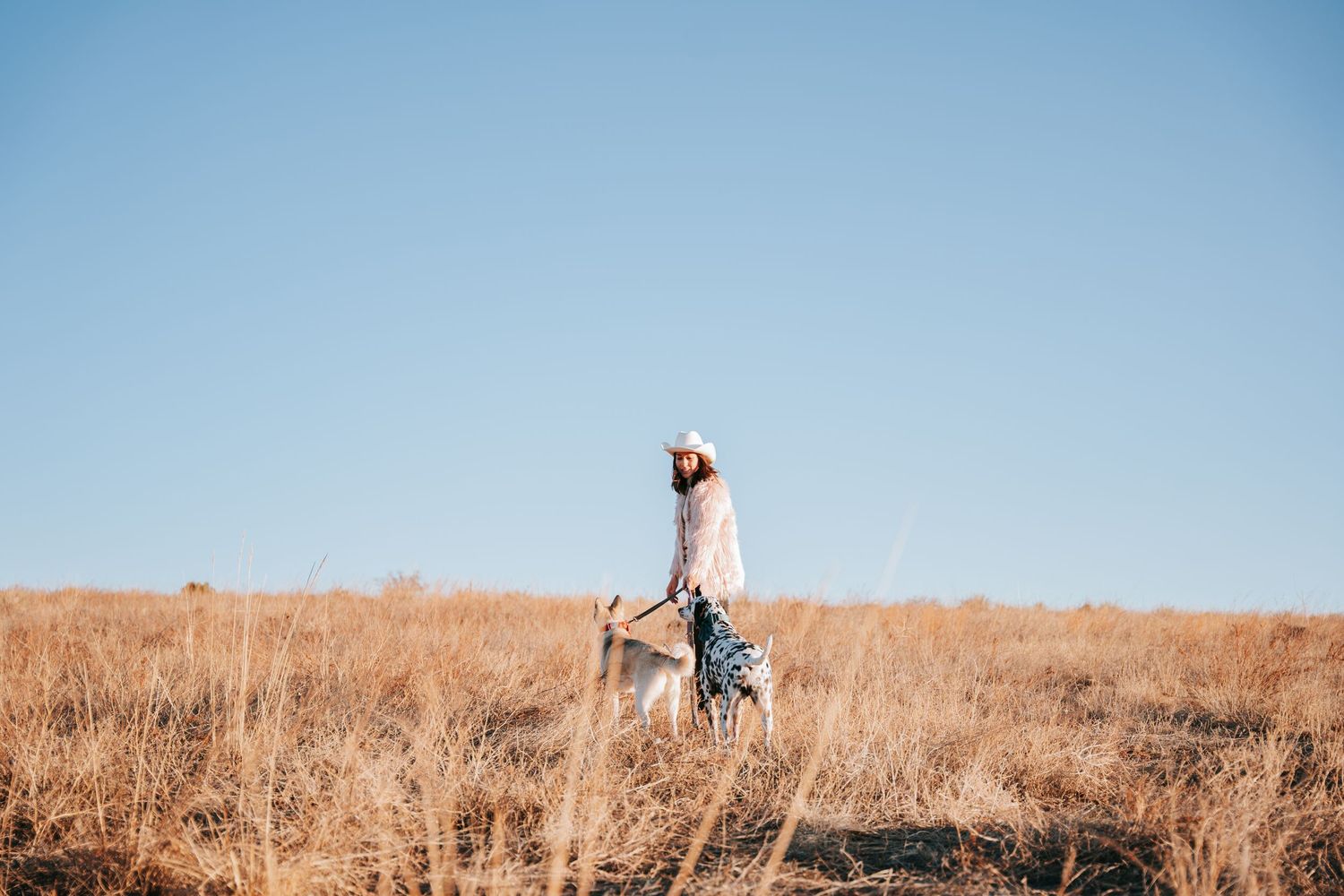 Woman walking dog through golden dry grass field under clear blue sky on sunny day.