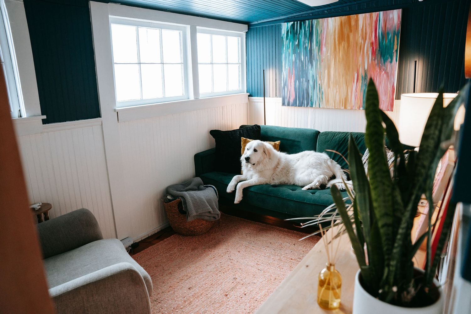 White dog relaxing on a green velvet sofa in a cozy room with colorful abstract wall art.