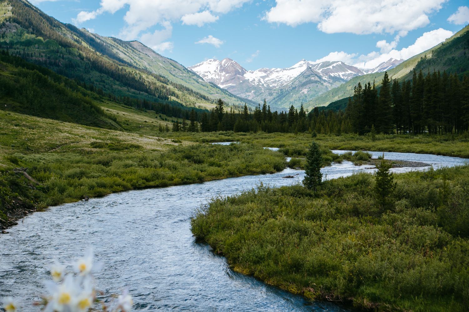 Scenic mountain valley with a winding blue stream, lush green meadows, pine trees, and snow-capped peaks.