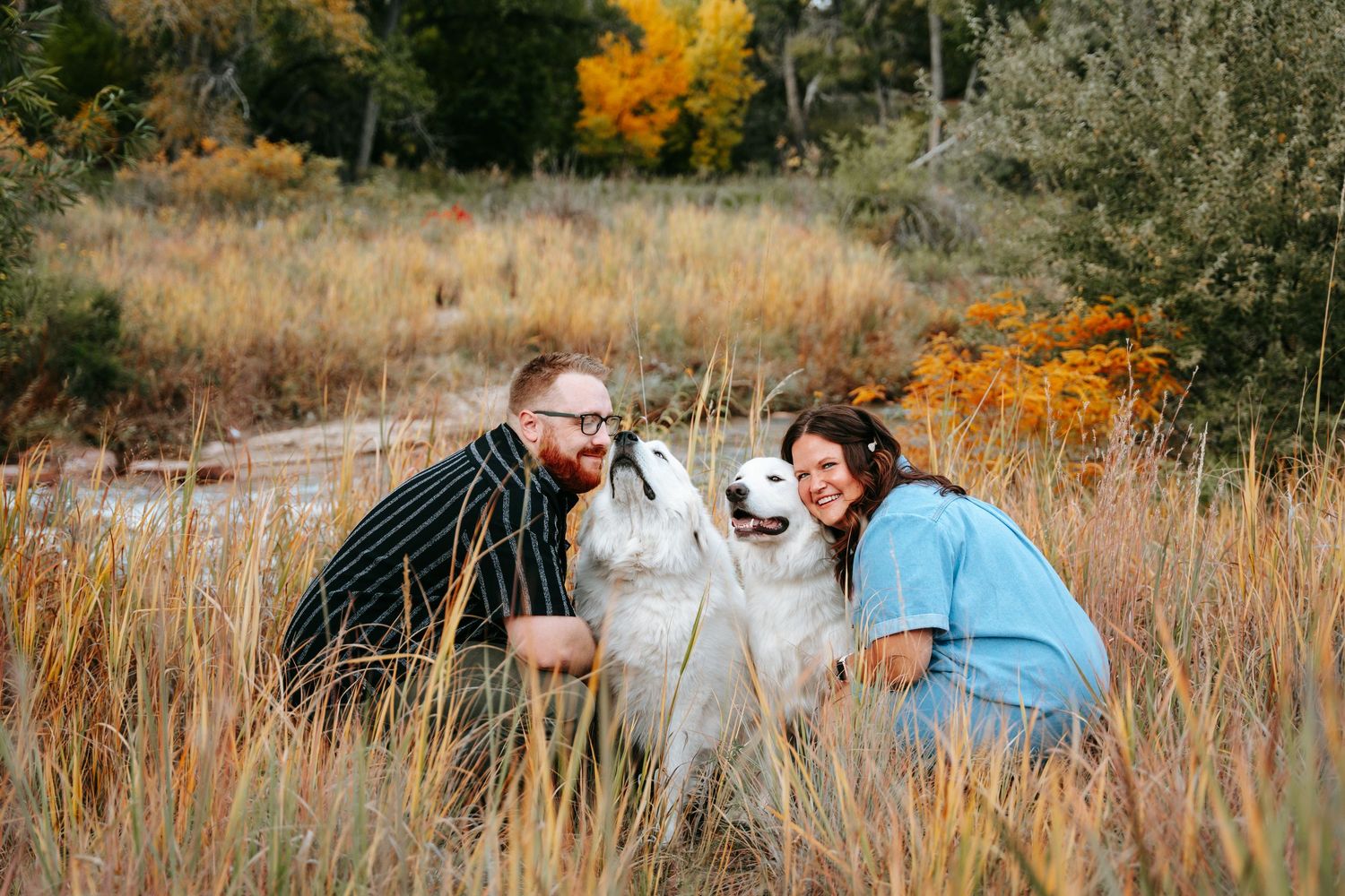 Couple and two white dogs sharing a playful moment in autumn golden grass field.