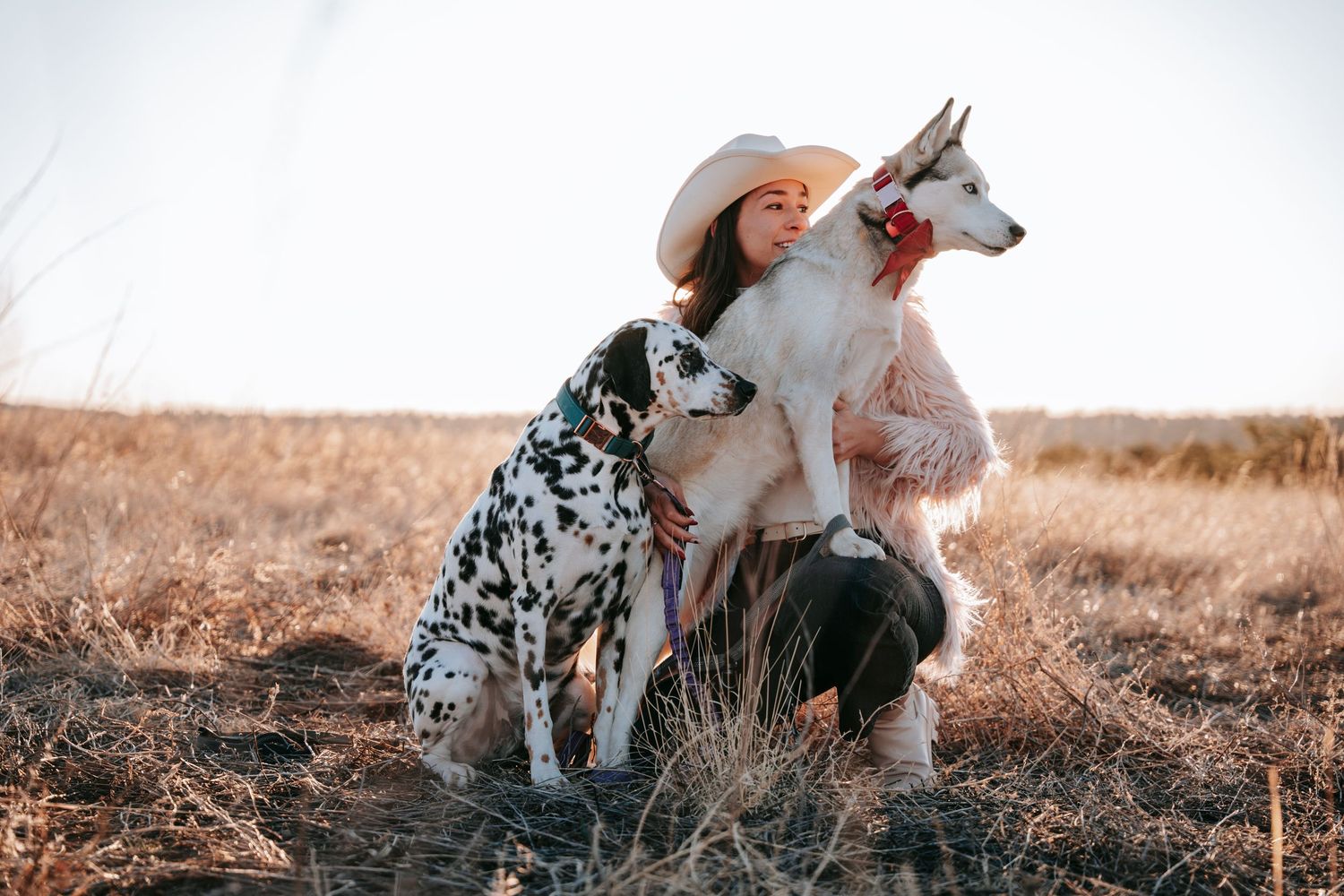 Woman in white cowboy hat sitting with Dalmatian and Husky dogs in dry golden field.