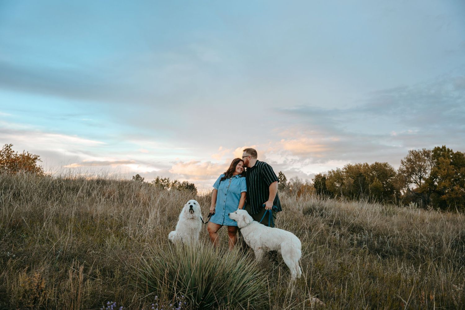 Couple kissing at sunset in a grassy field with two large white fluffy dogs.