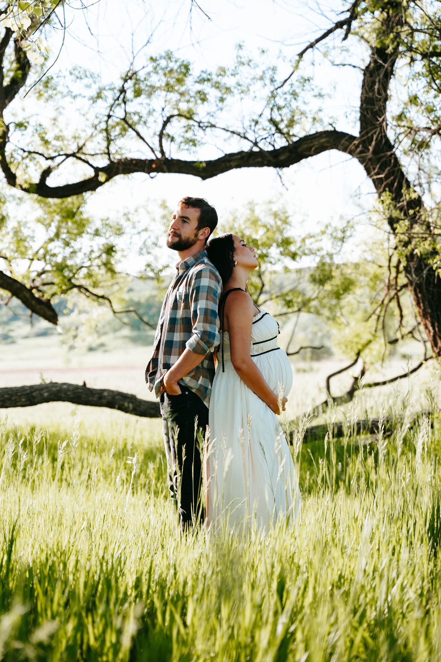 Couple standing back to back in lush green field beneath large tree in warm natural sunlight.