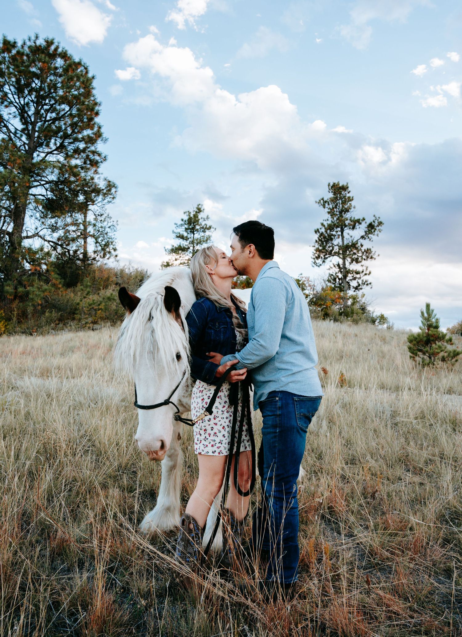 Couple kissing beside a white horse in a golden grass field with trees and cloudy sky.