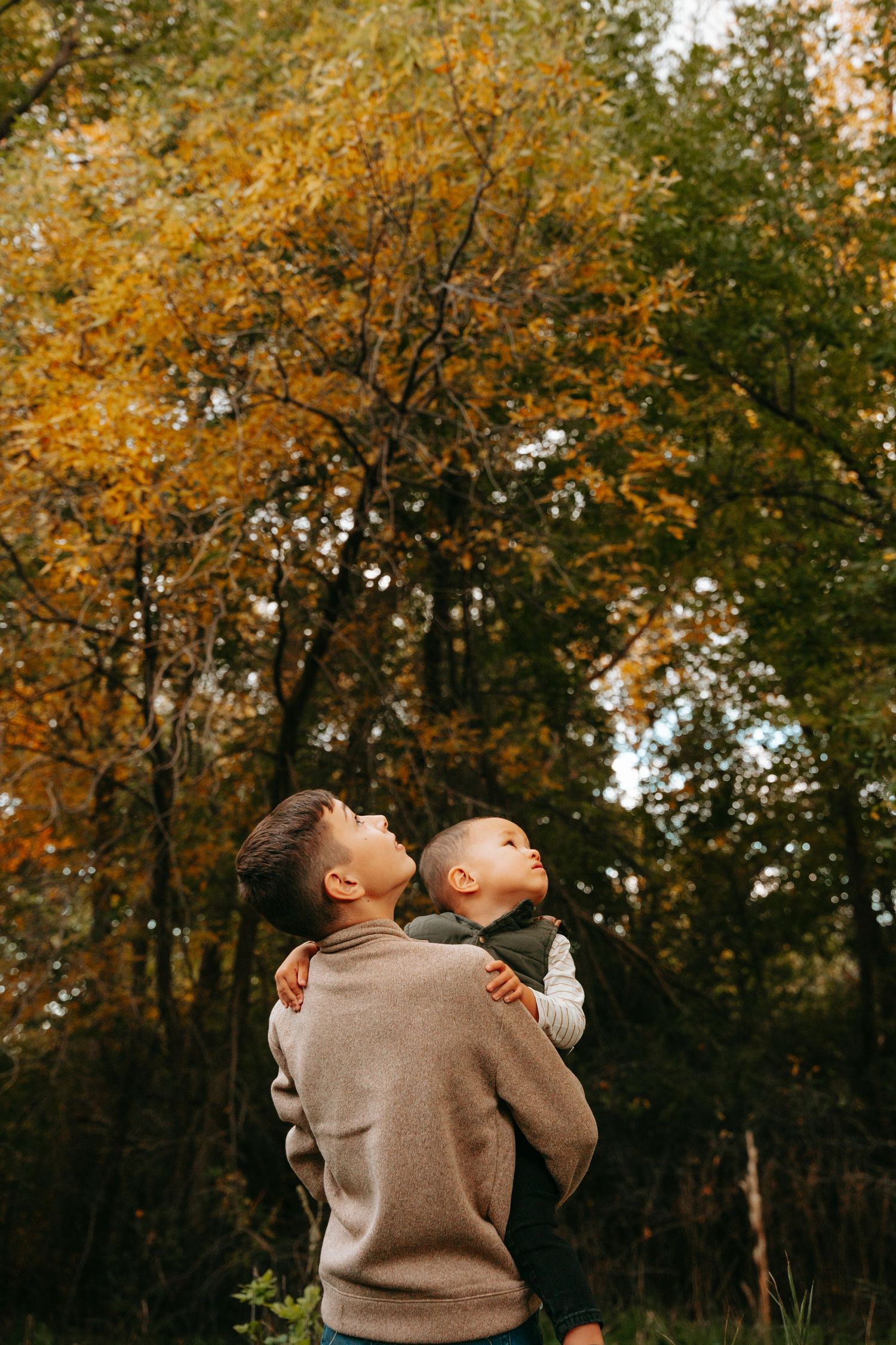 2 young brothers looking up at the fall leaves