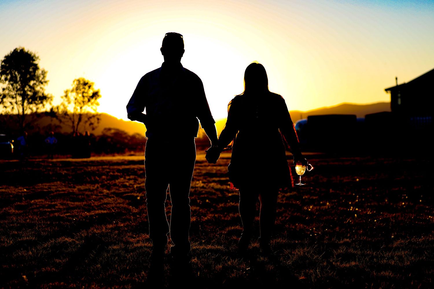 Family Photos and Weddings