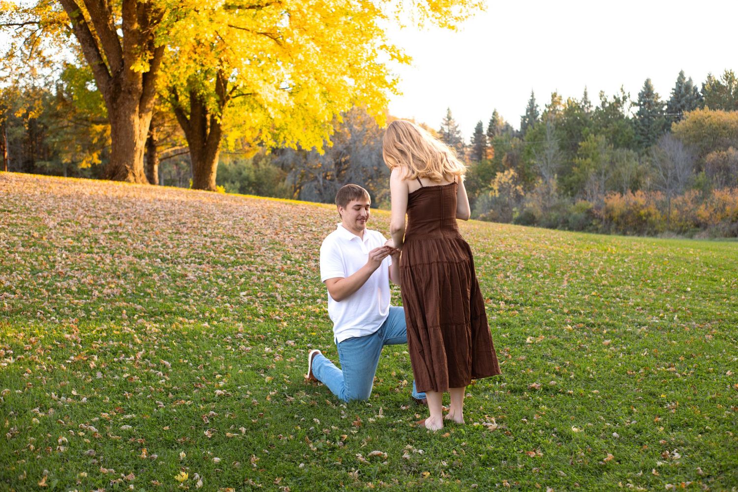 Man kneeling on one knee proposing to a woman in a brown dress on a grassy lawn beneath golden autumn trees at sunset.