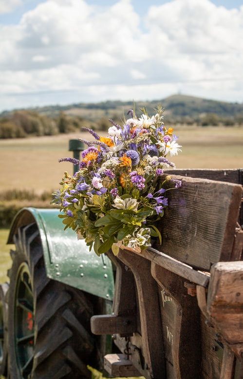 Colorful wildflowers arranged in rustic wooden mailbox with scenic countryside landscape in background.