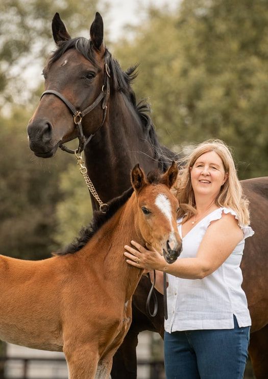 A series of five photos showing a brown foal and dark horse being photographed outdoors in a natural setting.