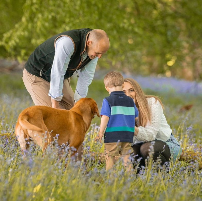 Person and dog sitting together in a wildflower meadow with a blue cooler on a sunny summer day.