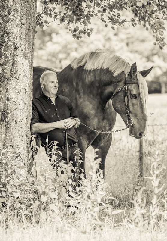 A black and white photo series showing a dark horse standing in tall grass under trees in a pastoral setting.