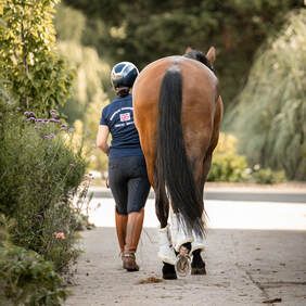 A series of photos showing a person walking alongside a brown horse on a dirt path through lush greenery.