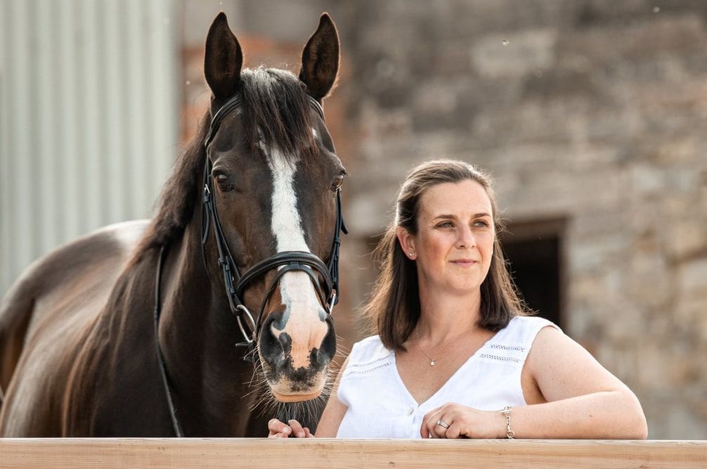 A series of four connected photos showing people interacting with and petting a dark brown horse against a stone wall.