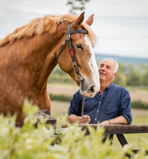 A chestnut horse nuzzles affectionately with someone in a blue shirt while standing near a wooden fence.