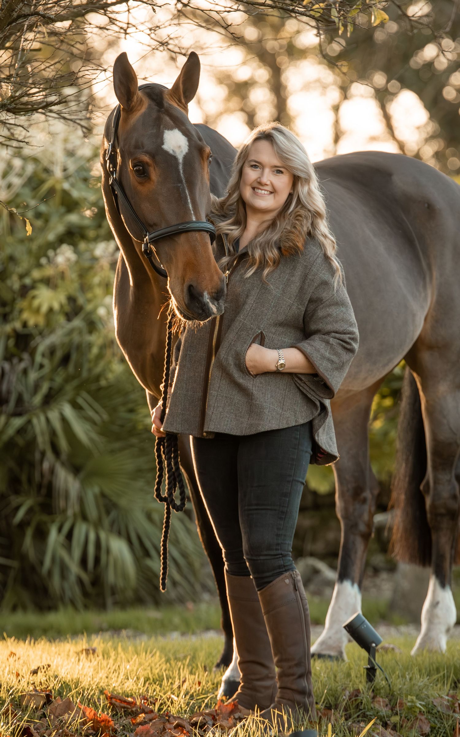 A beautiful brown horse and rider stand together in a sunlit garden setting at golden hour.