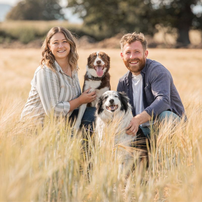 A couple sits together in a golden wheat field with their dog during a sunny outdoor photo session.