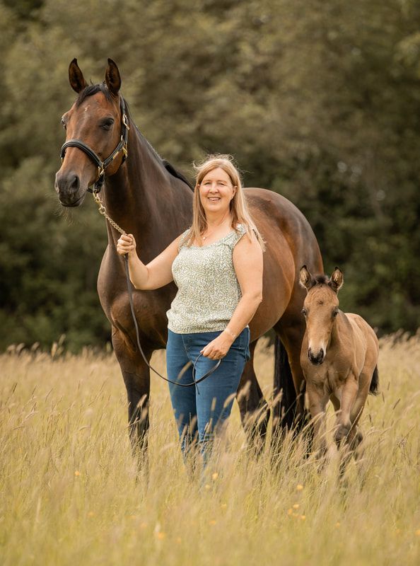 A brown horse and foal stand together in a golden meadow during a summer evening.