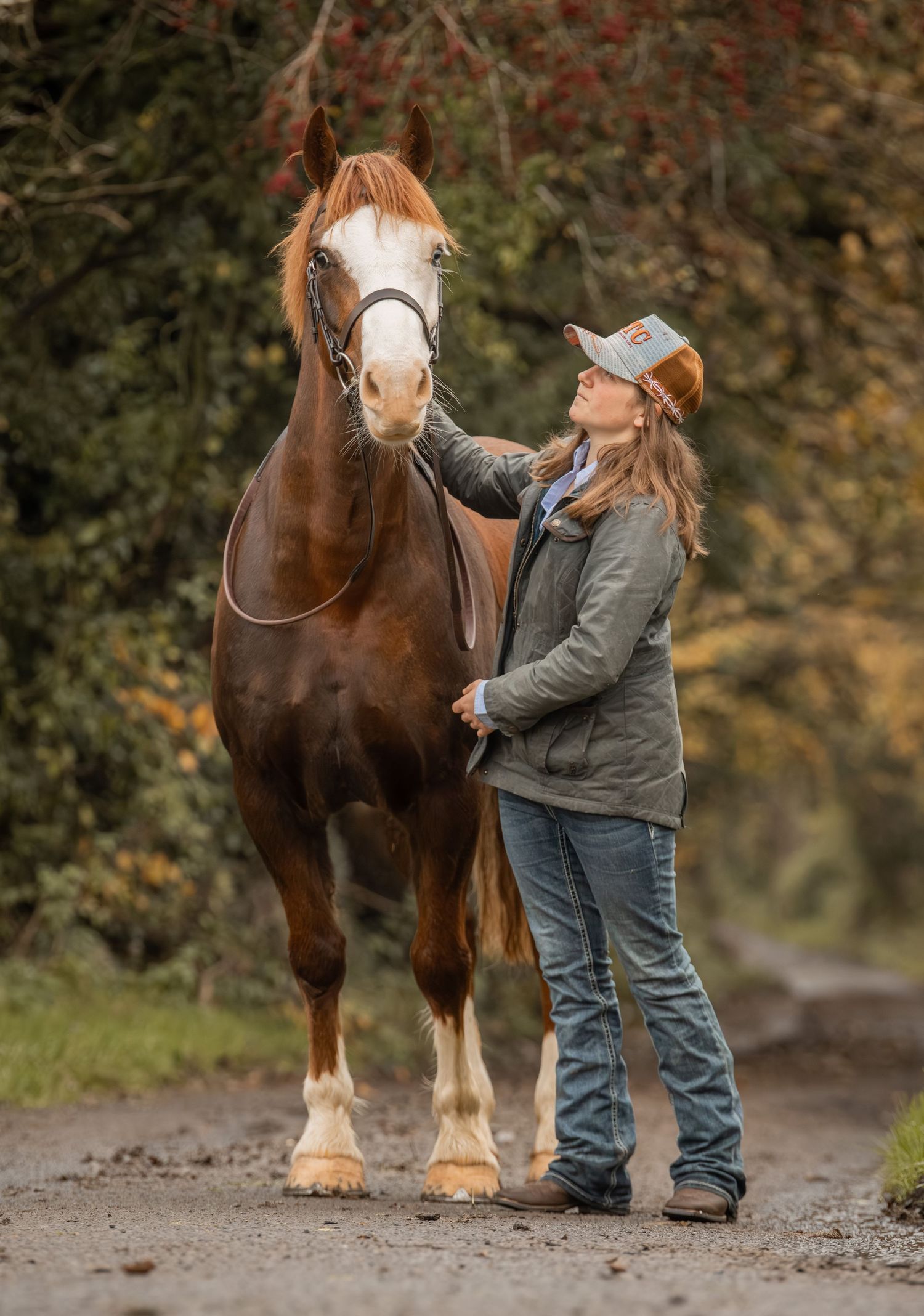 A brown draft horse with a white blaze stands on a dirt path while being groomed on an autumn day.