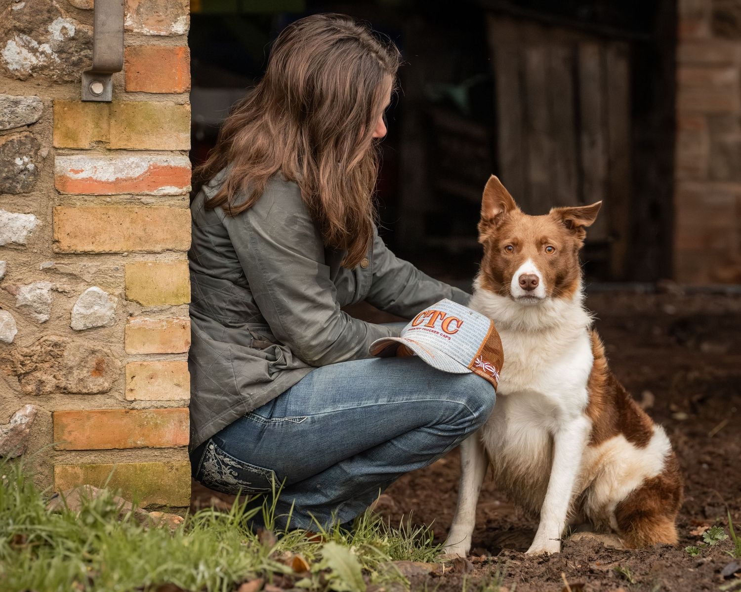 A Border Collie dog sits attentively next to a stone wall in an outdoor setting.