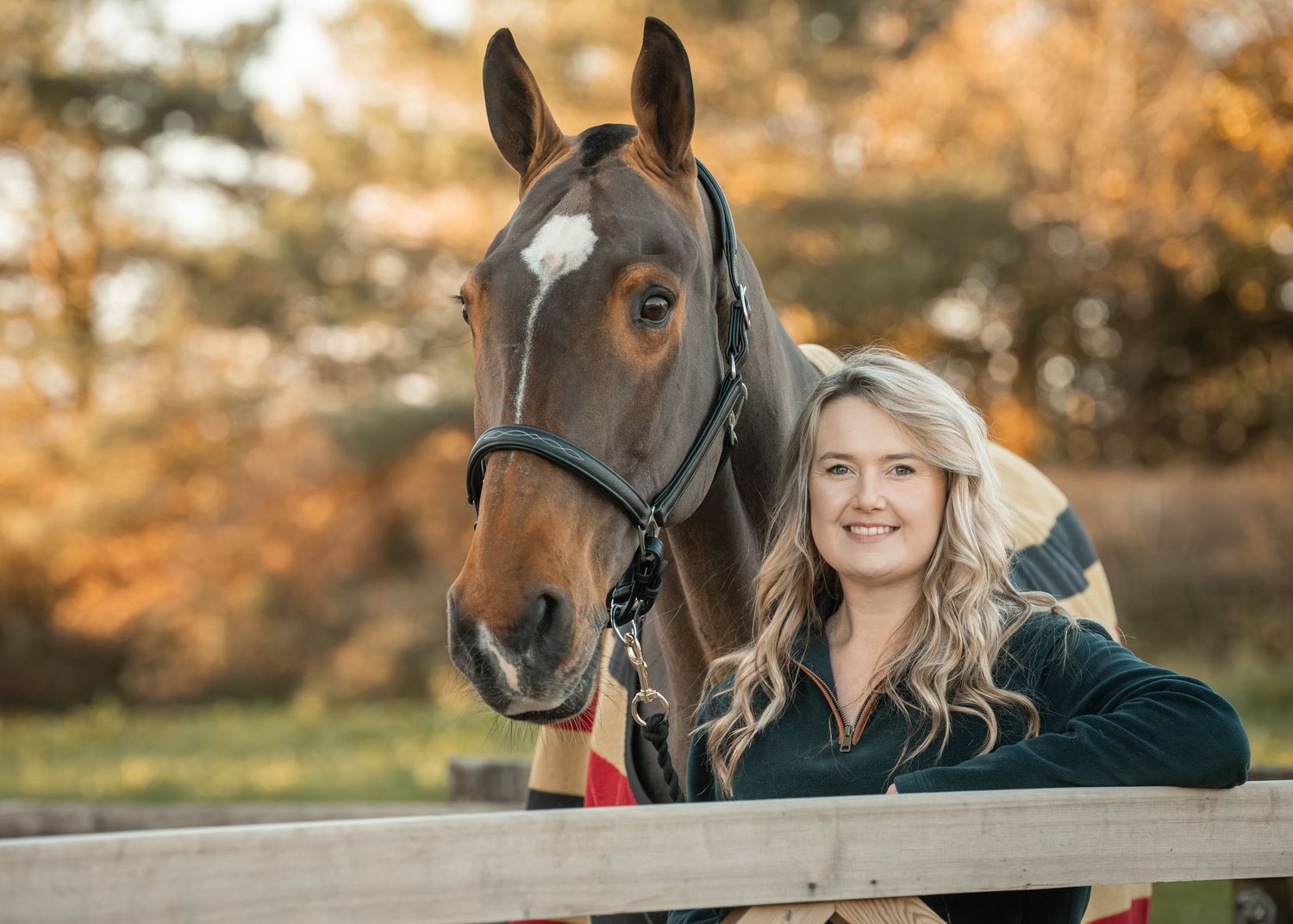 Beautiful brown horse and companion pose together at wooden fence during golden autumn sunset.