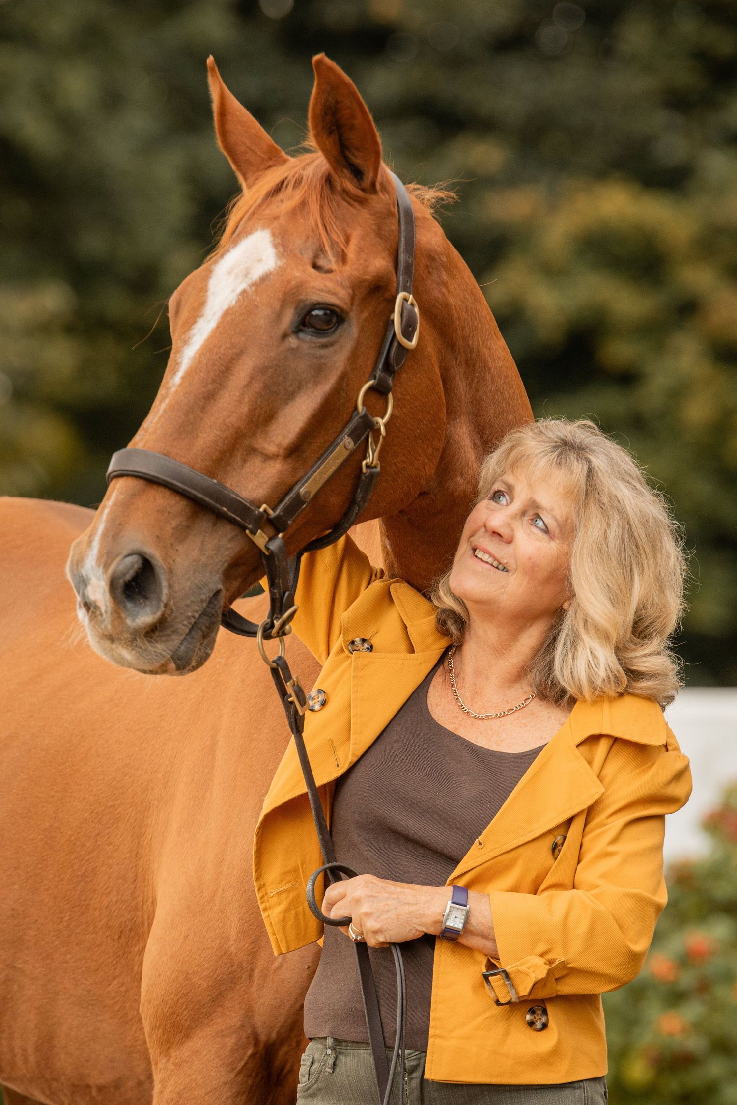 A beautiful chestnut horse with black halter stands close to someone wearing a bright yellow jacket outdoors.