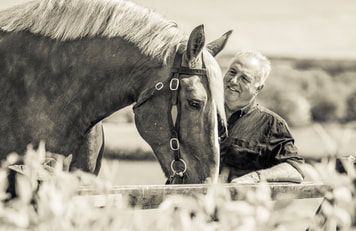 A series of black and white photographs showing horses grazing in a pastoral landscape.