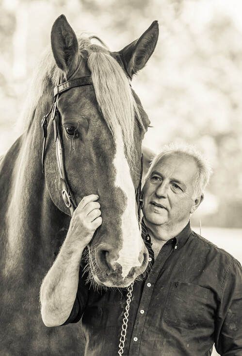 A black and white photo series showing tender moments between a person in dark clothing and a horse.