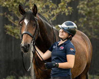 A series of equestrian photos showing a brown horse and rider in training gear against a natural outdoor background.