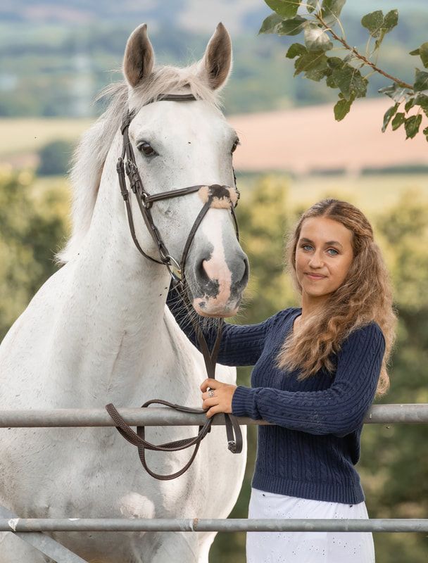 A white horse stands near a wooden fence while being groomed and cared for on a sunny day.