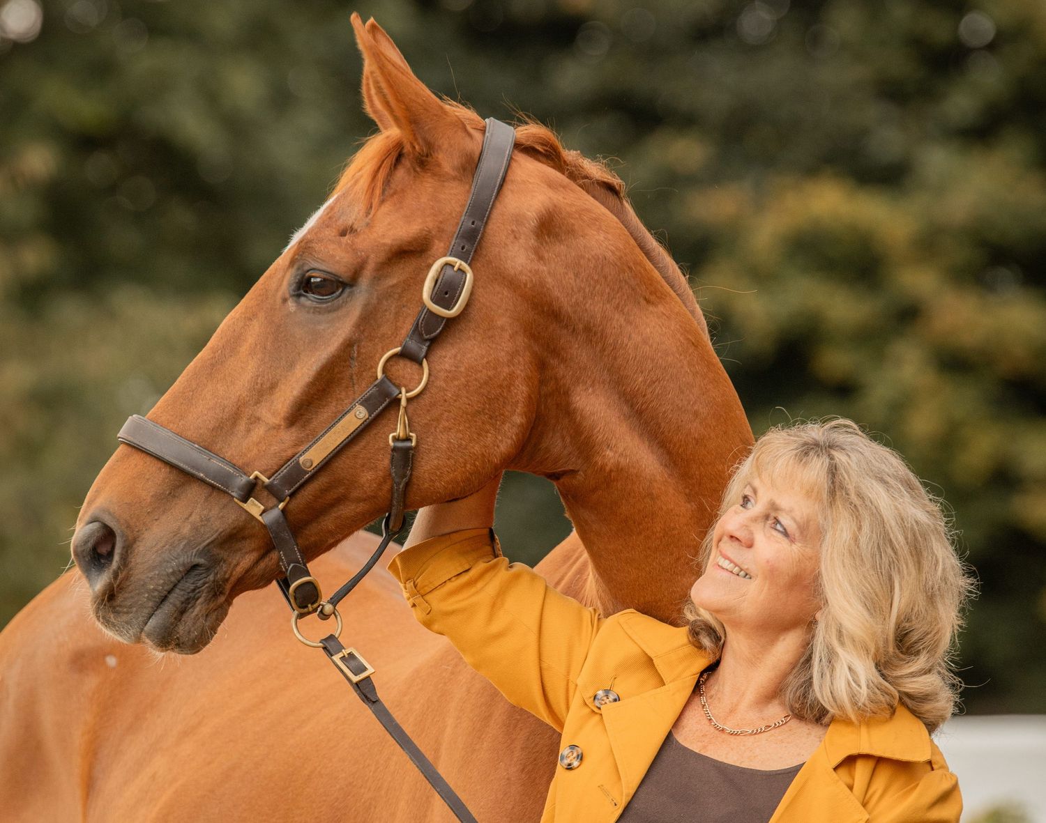 A chestnut horse wearing a bridle stands close to someone in a yellow jacket outdoors.